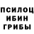 Галлюциногенные грибы Cubensis Dawid Malyska