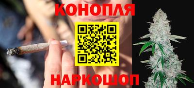 прущие грибы Балаково